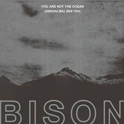 Bison BC : You Are Not the Ocean You Are the Patient